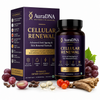 AuraDNA Cellular Renewal | Advanced Cellular Nutrition for Healthy Ageing, Skin Renewal & Daily Vitality | 30 Film-Coated Tablets